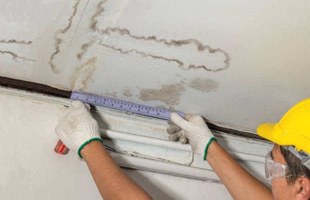 Reliable Structural Drying contractor in Rossville, IL by Water Damage Irwin